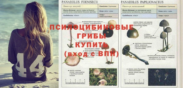 спиды Алзамай